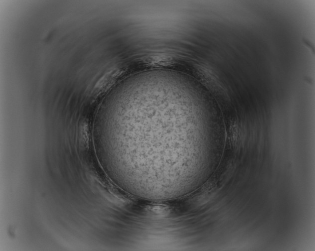 X0000101110506200807031743