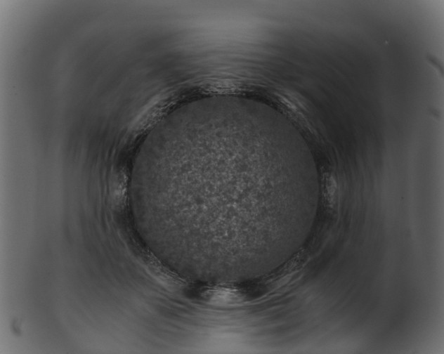 X0000101110507200807031743