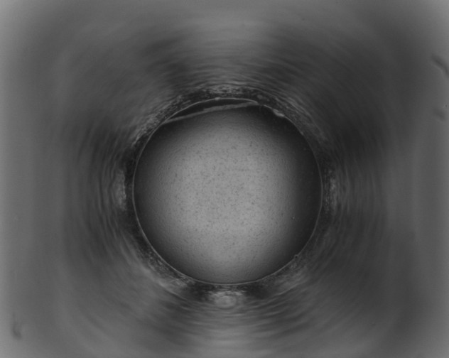 X0000101110508200807031743