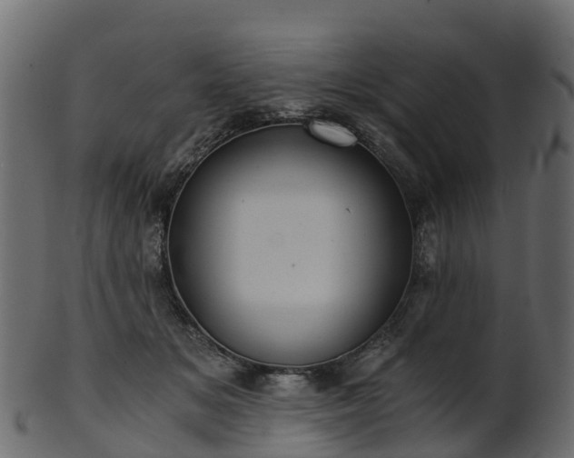 X0000101110509200807031743