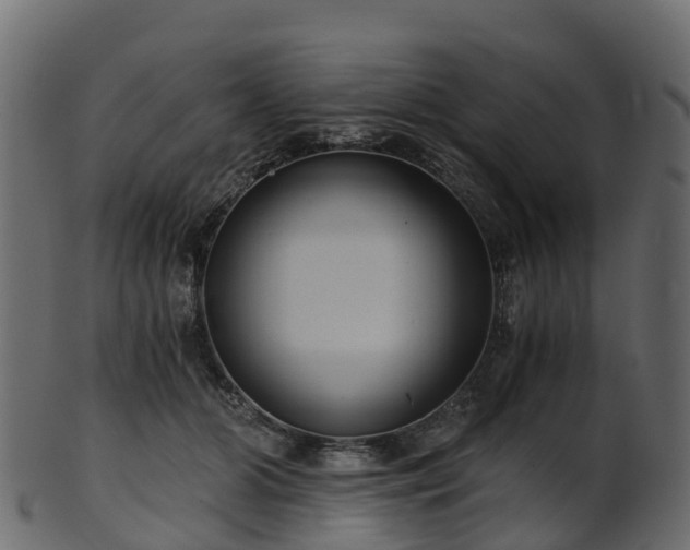 X0000101110510200807031743