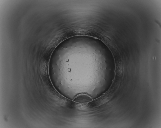X0000101110511200807031743