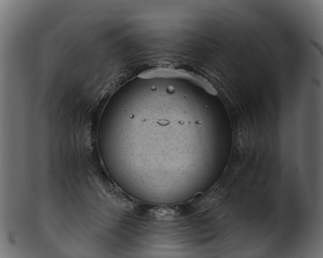 X0000101110512200807031743