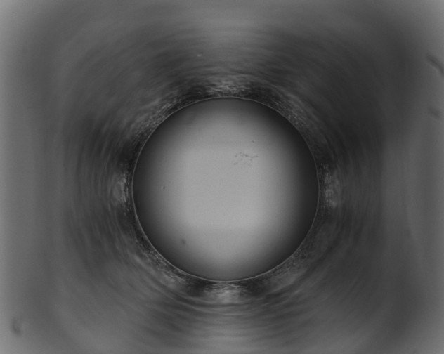 X0000101110514200807031743
