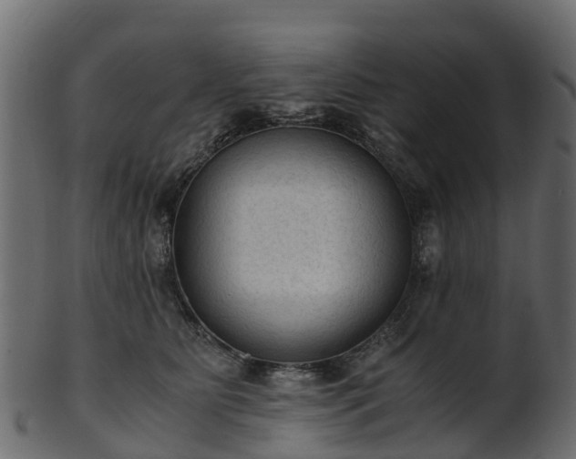 X0000101110515200807031743