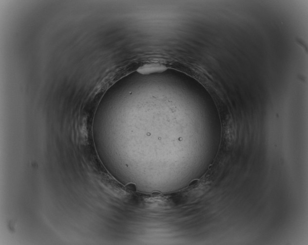 X0000101110516200807031743