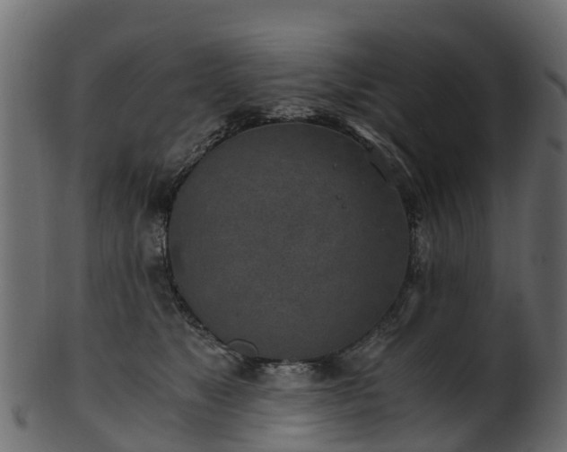 X0000101110517200807031743