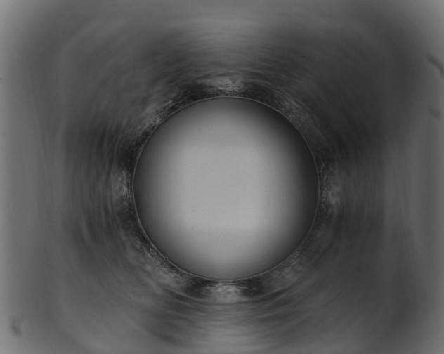 X0000101110518200807031743
