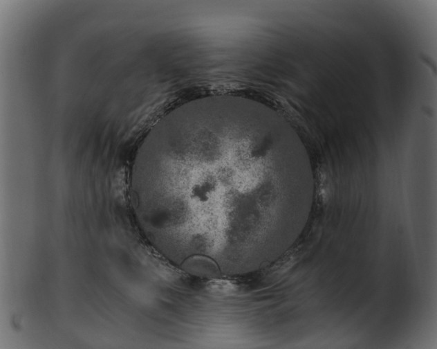X0000101110519200807031743
