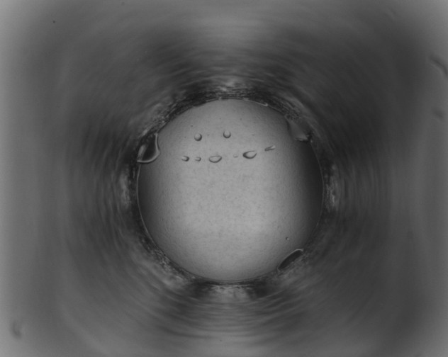 X0000101110520200807031743