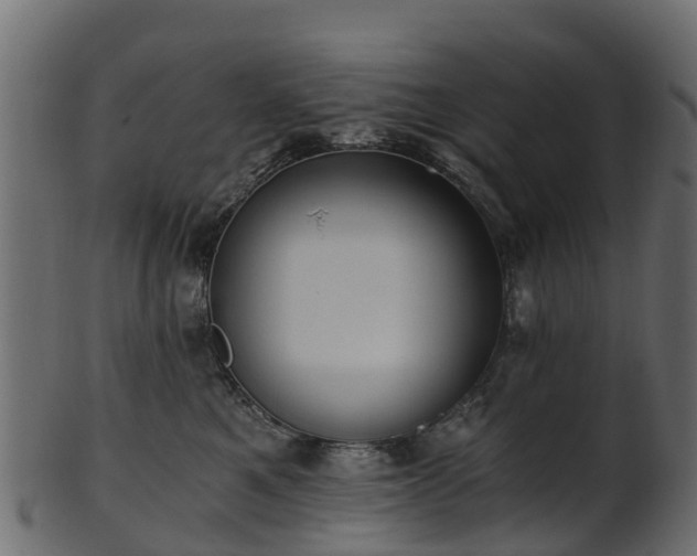 X0000101110521200807031743