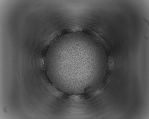 X0000101110523200807031743
