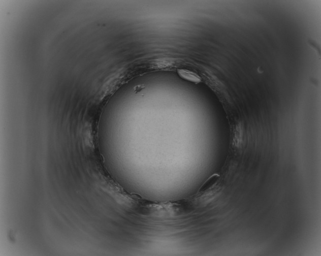 X0000101110524200807031743