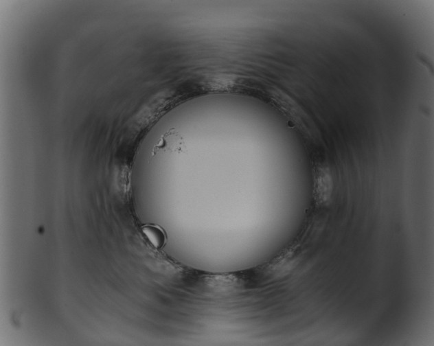 X0000101110525200807031743