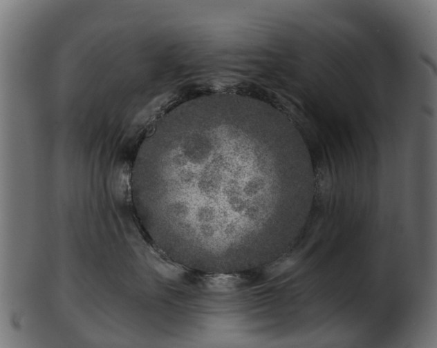 X0000101110527200807031743