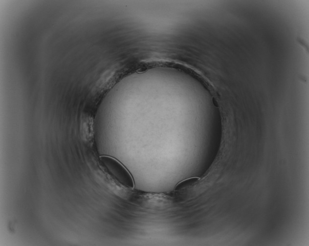 X0000101110528200807031742