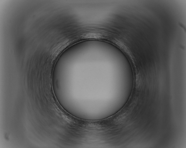 X0000101110529200807031742
