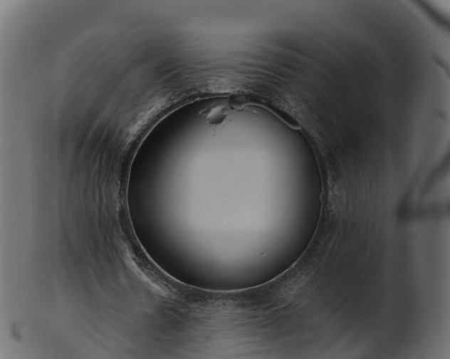 X0000101110530200807031742