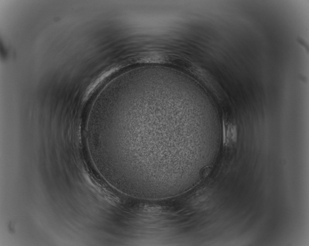 X0000101110531200807031742