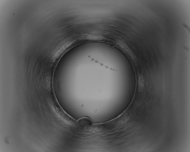 X0000101110533200807031742