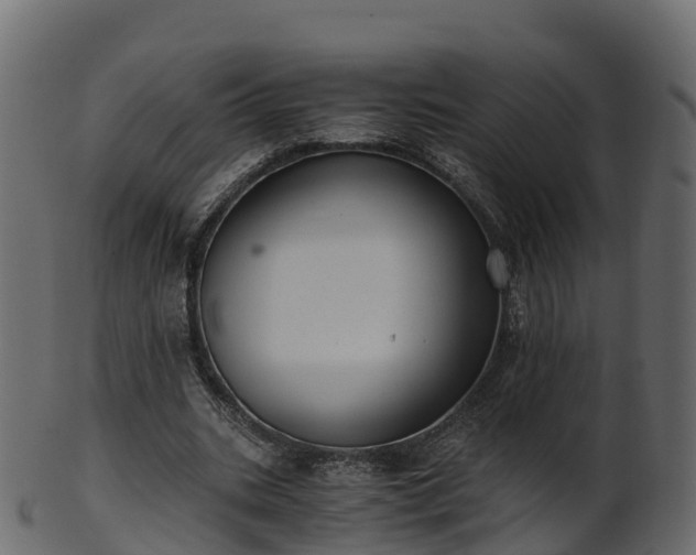 X0000101110535200807031742