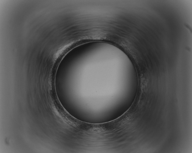 X0000101110536200807031742