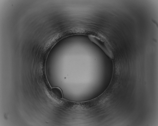 X0000101110538200807031742