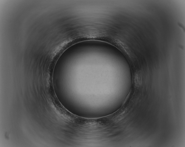 X0000101110540200807031742