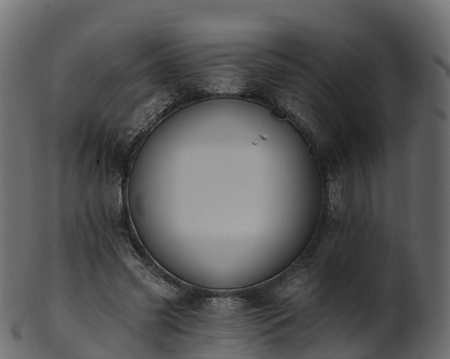 X0000101110541200807031742