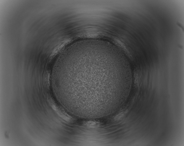X0000101110542200807031742