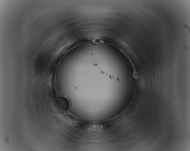 X0000101110543200807031742