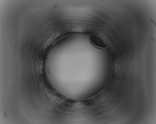 X0000101110544200807031742