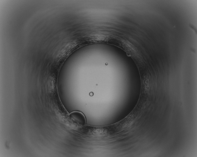 X0000101110546200807031742