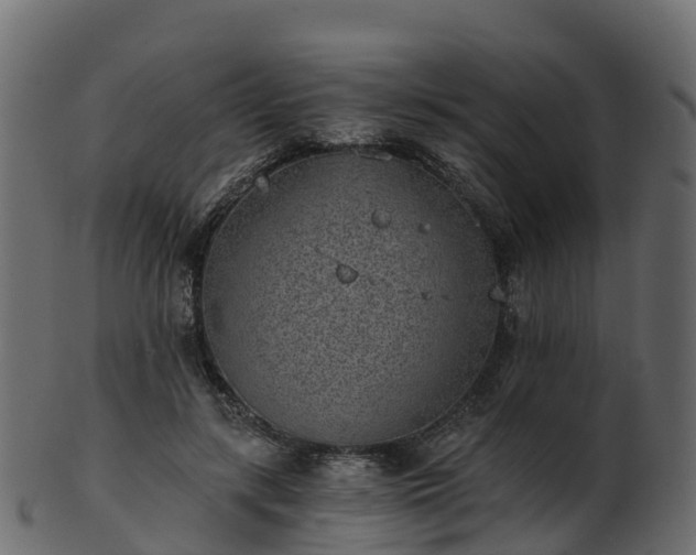 X0000101110547200807031742