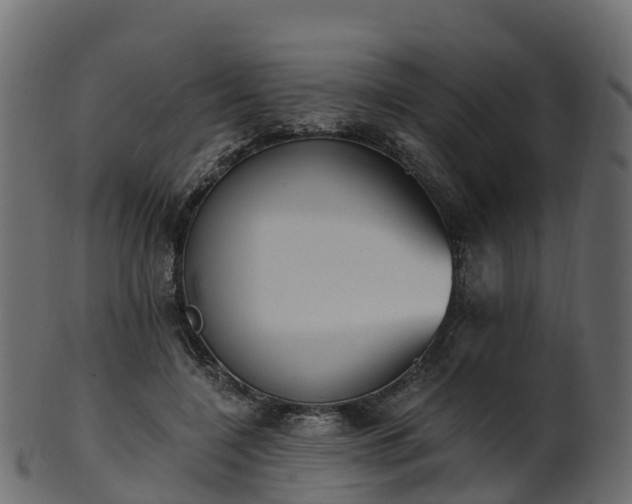 X0000101110548200807031742