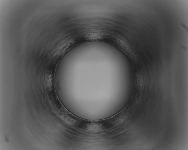 X0000101110549200807031742