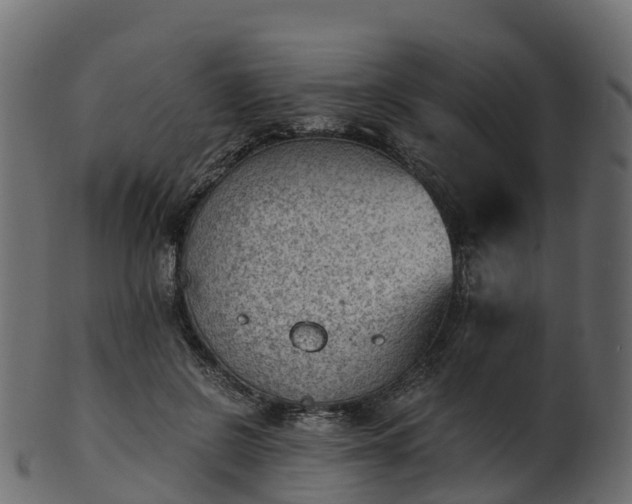 X0000101110550200807031742