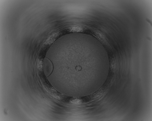 X0000101110551200807031742