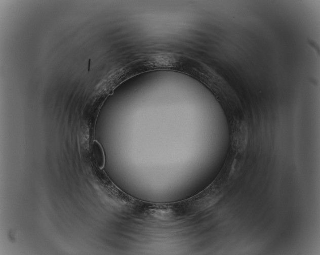 X0000101110552200807031742