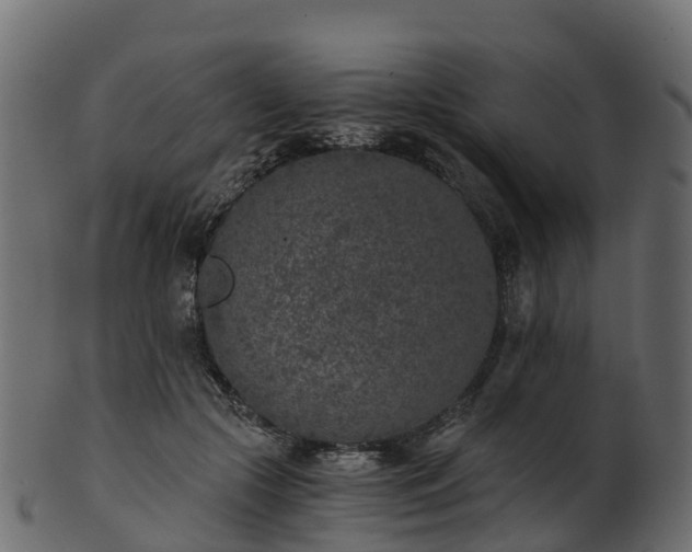 X0000101110553200807031742