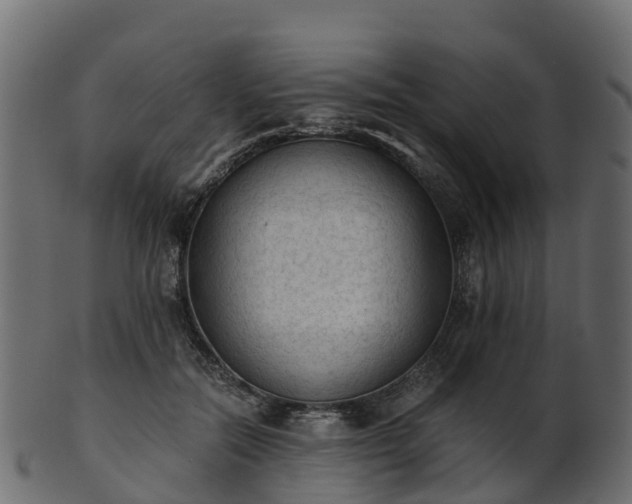 X0000101110554200807031742