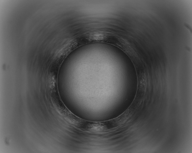 X0000101110555200807031742