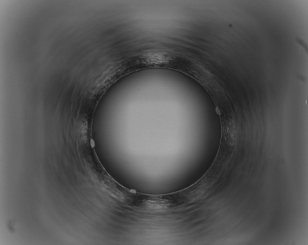 X0000101110556200807031742