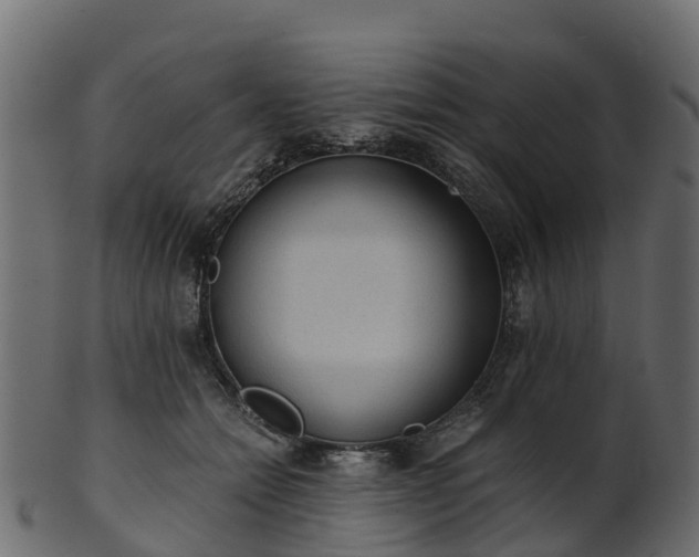 X0000101110558200807031742