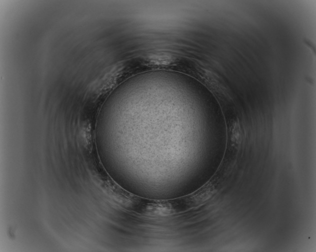 X0000101110559200807031742