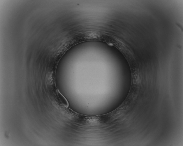 X0000101110560200807031742
