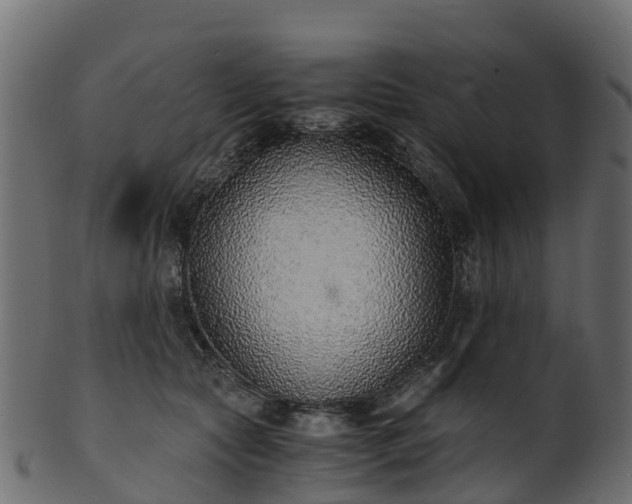 X0000101110561200807031742
