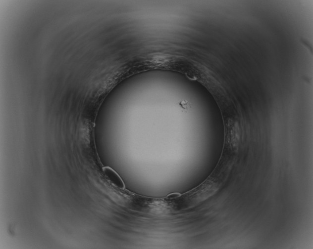 X0000101110562200807031742