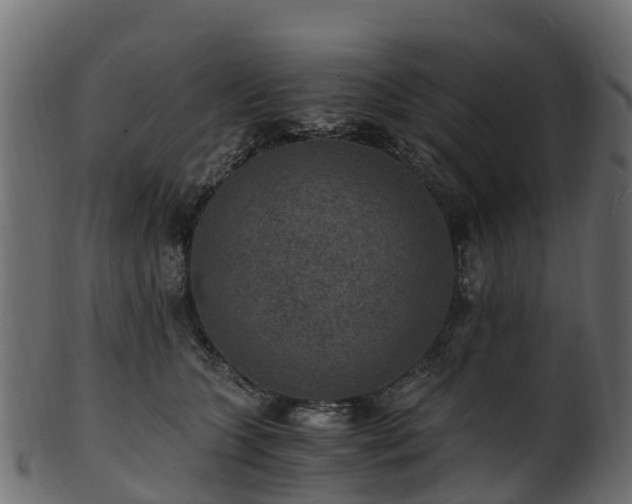X0000101110563200807031742