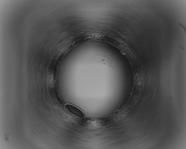 X0000101110564200807031742